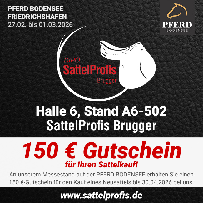 SattelProfis-Pferd-Bodensee-2026-Gutscheinaktion